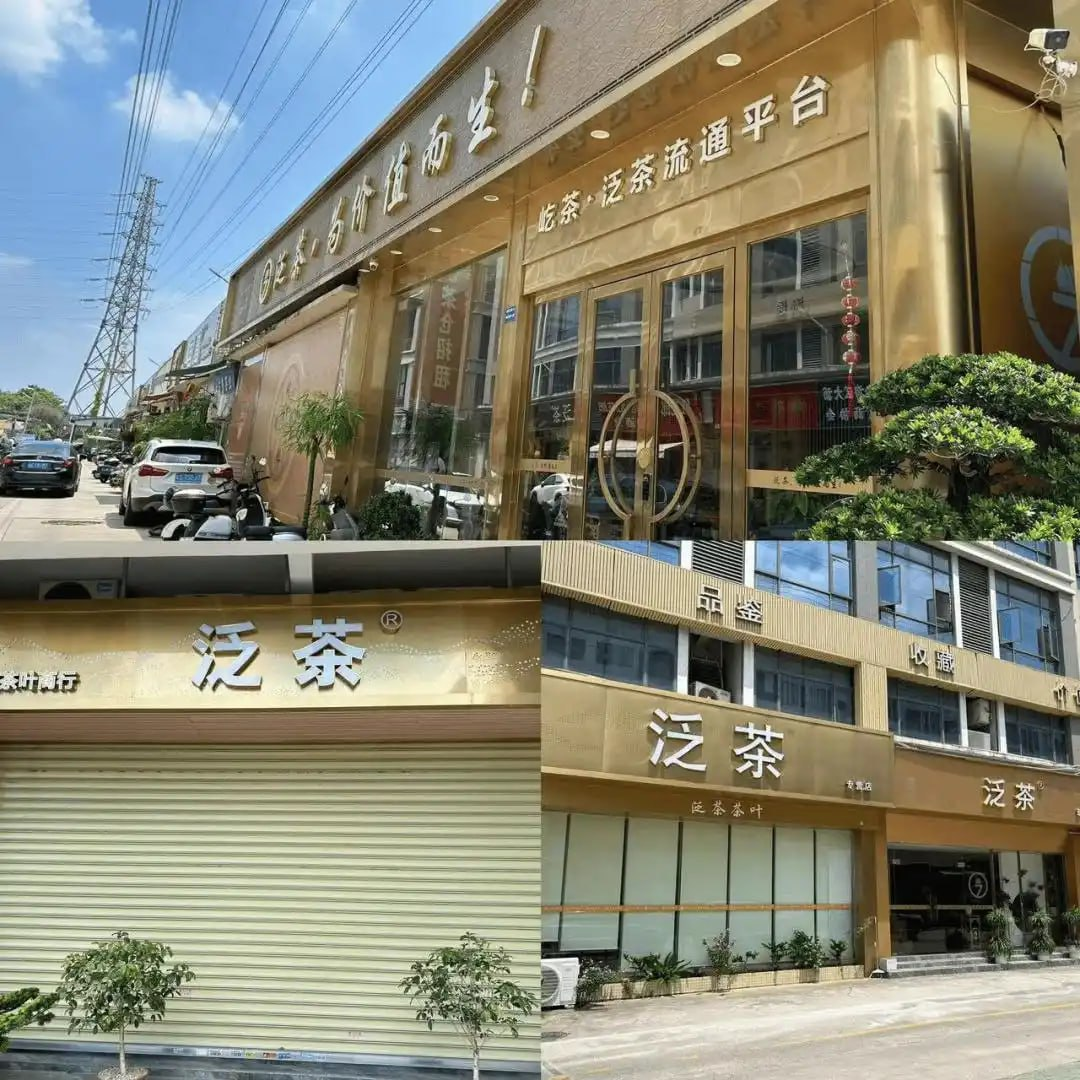 从风口掘金到激流勇退：华商会成员的泛茶投资传奇